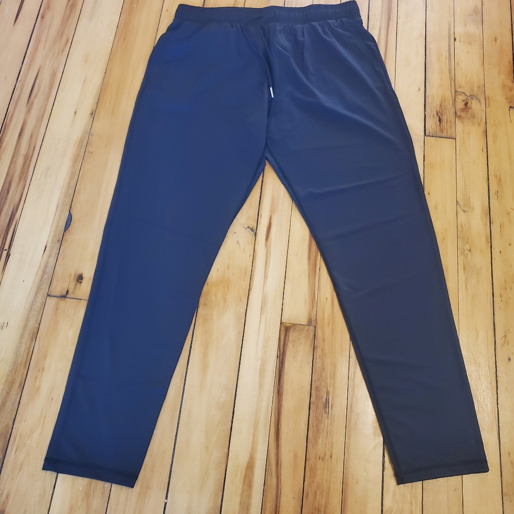 Zyia Everywhere Pants